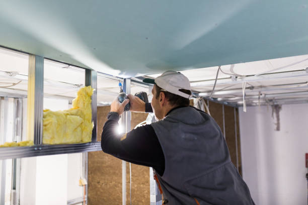 Best Insulation Inspection Services  in Seabrook, SC