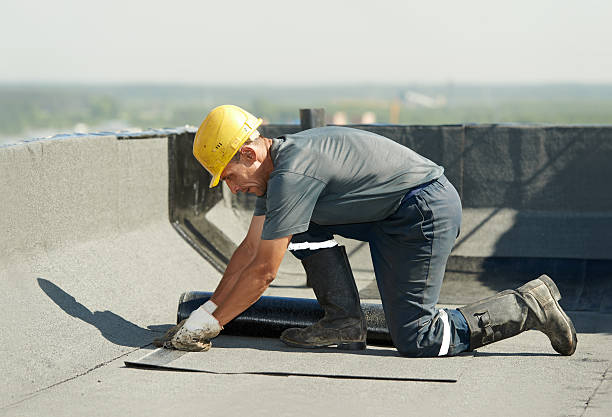 Best Insulation Contractor Near Me  in Seabrook, SC