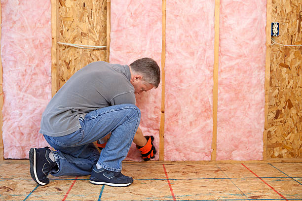 Best Best Insulation Companies  in Seabrook, SC